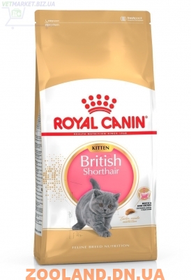 Royal Canin British Shorthair Kitten Роял Канин для котят британской кошки
