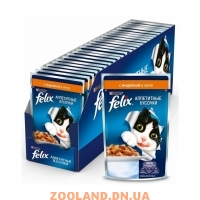Felix Ageil Феликс индейка в желе